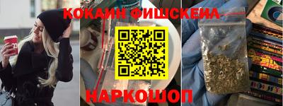 Альфа ПВП Новозыбков
