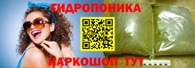 ешки Новодвинск